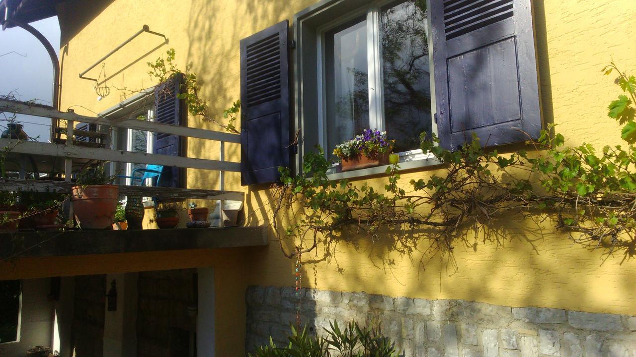 B&B Am Park Rheinfelden Luaran gambar