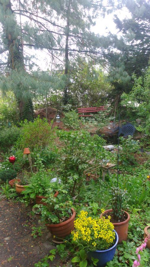 B&B Am Park Rheinfelden Luaran gambar